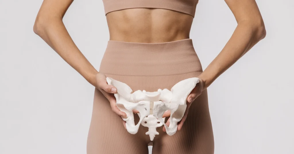 Kobieta trzyma w dłoniach model miednicy na wysokości bioder